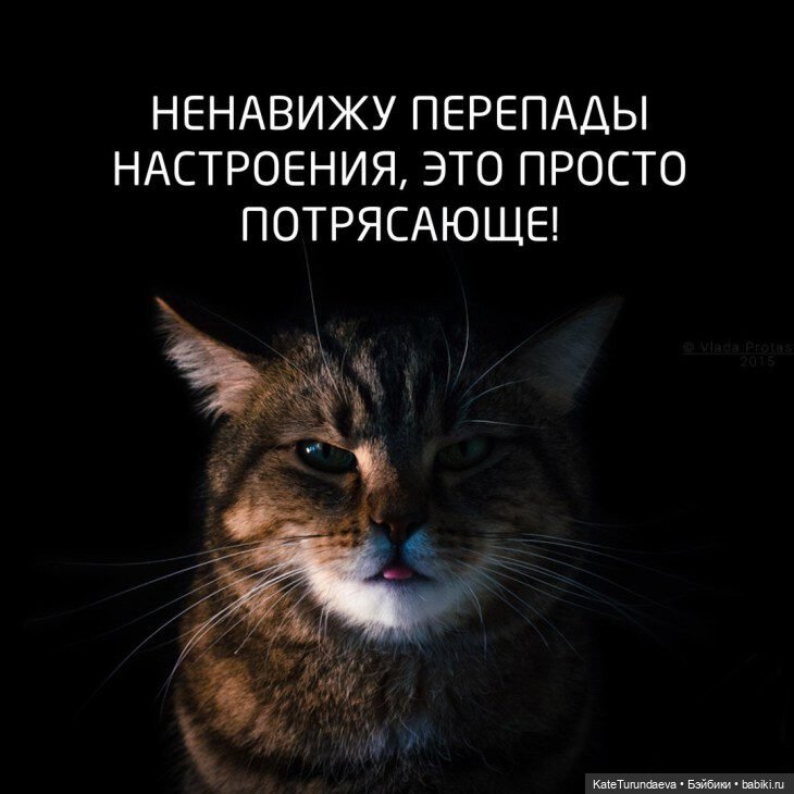 Сколько нужно угождать,чтобы всем угодить (фото 7)