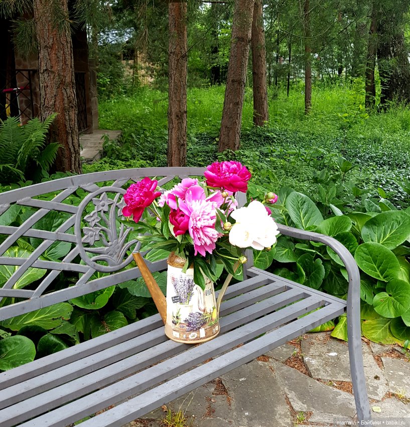 Для летнего вдохновения — Другие хобби и увлечения: сад (фото 2)