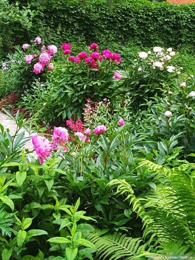 Для летнего вдохновения — Другие хобби и увлечения: сад