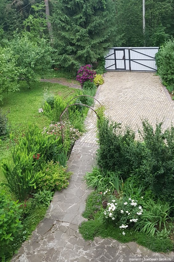 Для летнего вдохновения — Другие хобби и увлечения: сад (фото 8)