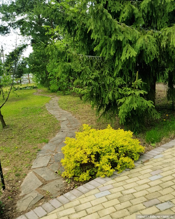 Для летнего вдохновения — Другие хобби и увлечения: сад