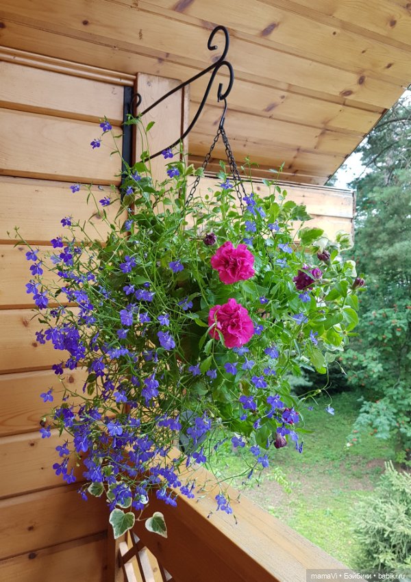 Для летнего вдохновения — Другие хобби и увлечения: сад