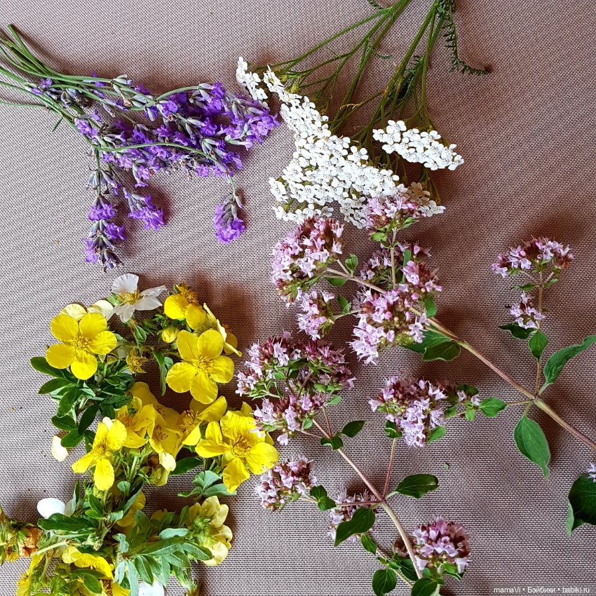 Для летнего вдохновения — Другие хобби и увлечения: сад