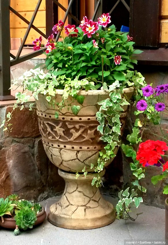 Для летнего вдохновения — Другие хобби и увлечения: сад