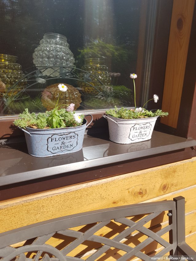 Для летнего вдохновения — Другие хобби и увлечения: сад