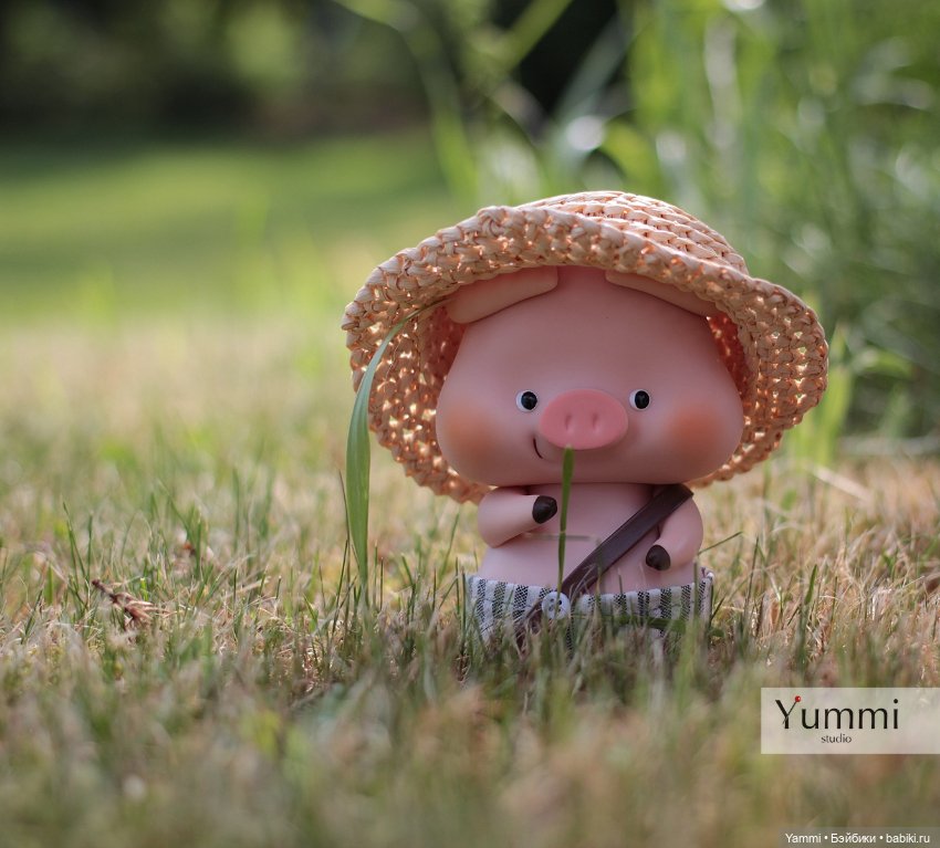 Жара! Дачные выходные — Куклы Holala (Холала) от Jenny Fairytown: Pipita