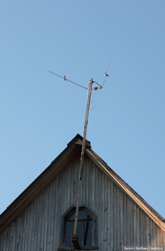 Жара! Дачные выходные — Куклы Holala (Холала) от Jenny Fairytown: Pipita