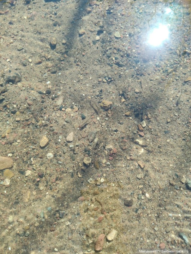 Ксюша — Разные шарнирные куклы (не БЖД): редкие (фото 10)