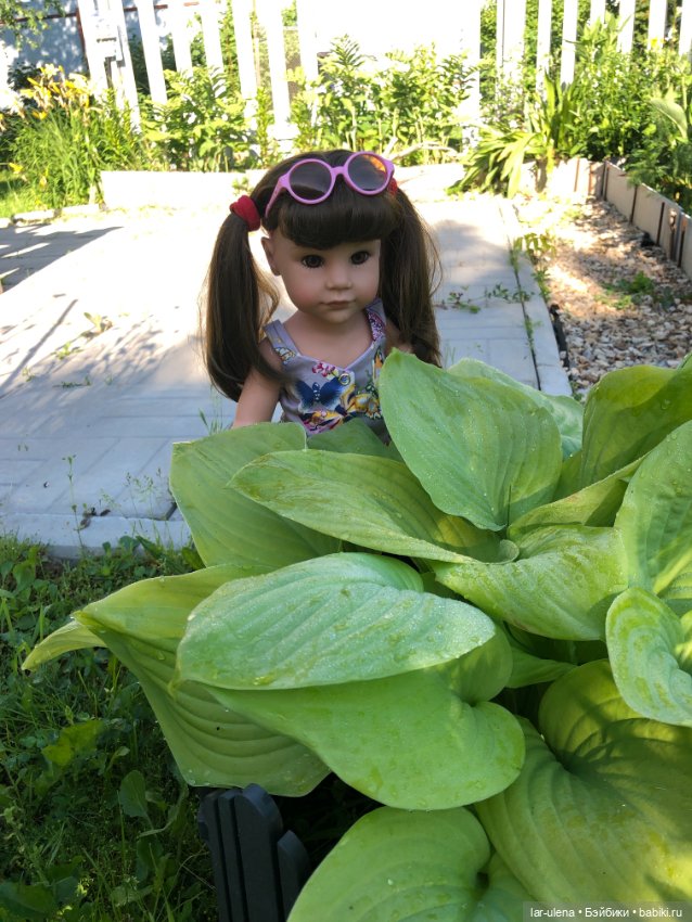 Не могу не поделиться — В мире животных: смешные фото питомцев и зверей