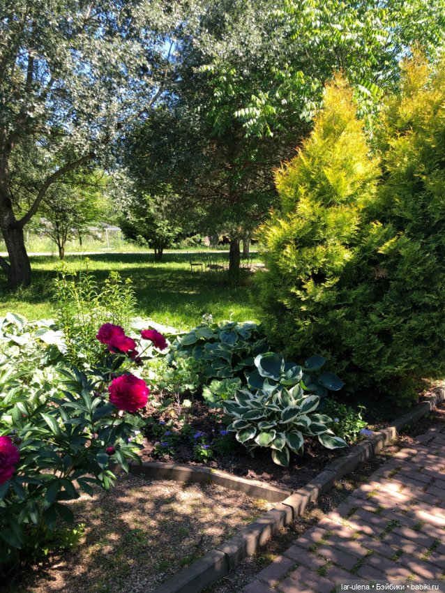 Не могу не поделиться — В мире животных: смешные фото питомцев и зверей