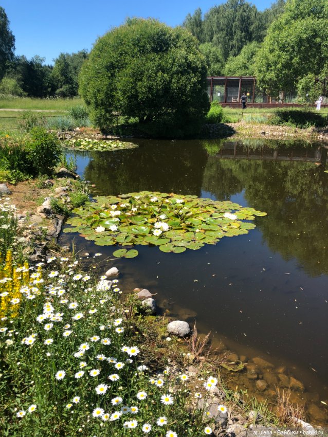 Не могу не поделиться — В мире животных: смешные фото питомцев и зверей (фото 2)
