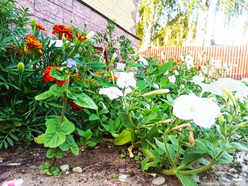 Концерт. Realpuki. 119 часть