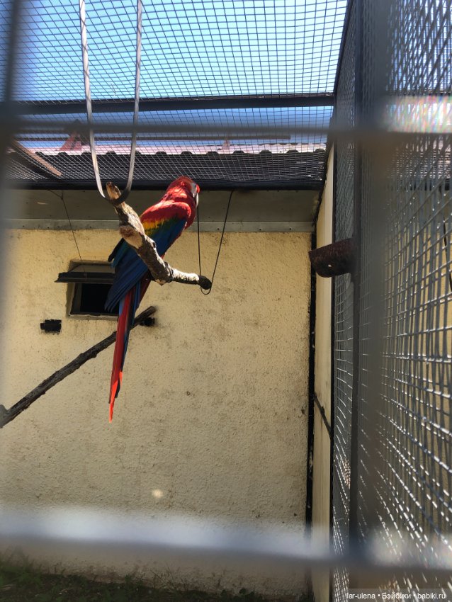 Не могу не поделиться — В мире животных: смешные фото питомцев и зверей