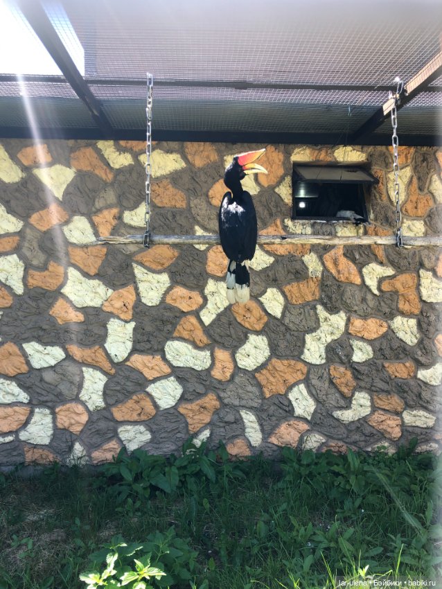 Не могу не поделиться — В мире животных: смешные фото питомцев и зверей