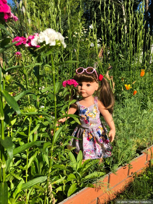 Не могу не поделиться — В мире животных: смешные фото питомцев и зверей