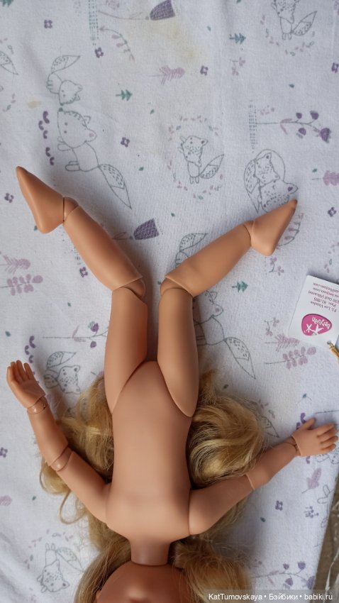 Долгая дорога Евы... или к Еве