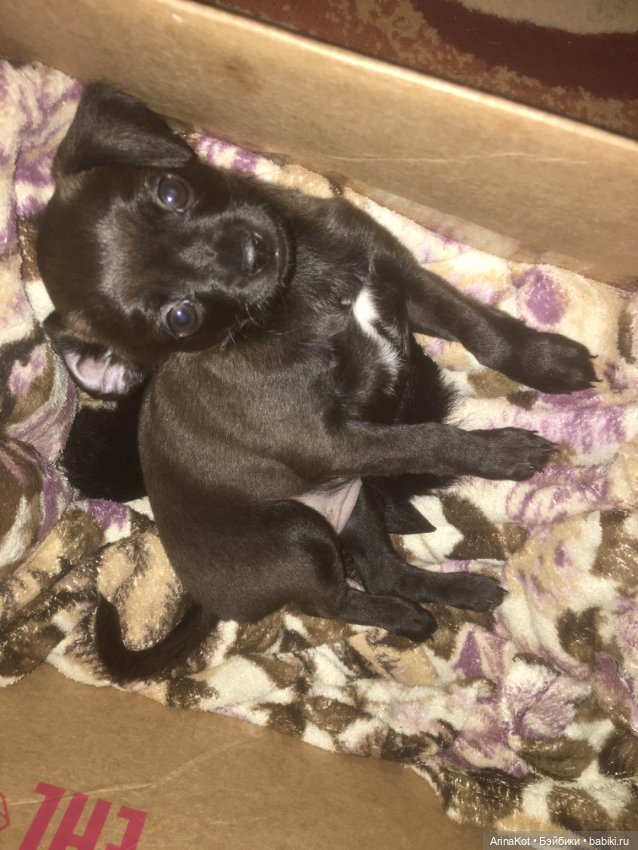 Ах! девченка девченочка — Кукольная мастерская: ремонт