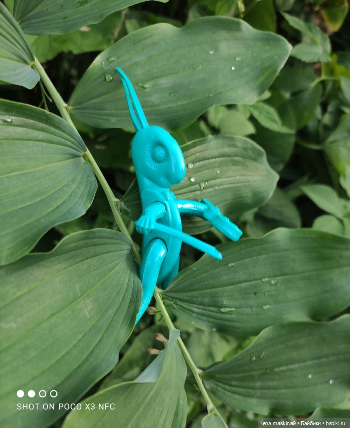 Мой милый друг детства, мой музыкант-кузнечик