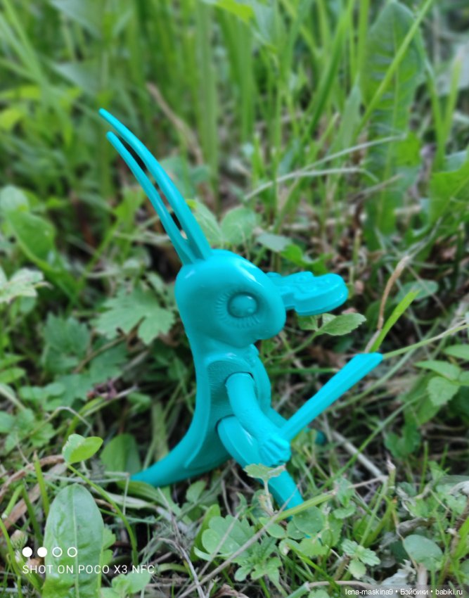 Мой милый друг детства, мой музыкант-кузнечик (фото 5)