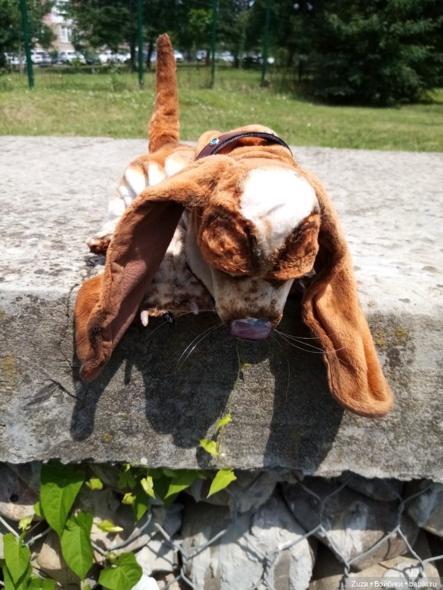 Хорошо, когда у тебя есть собака (фото 8)