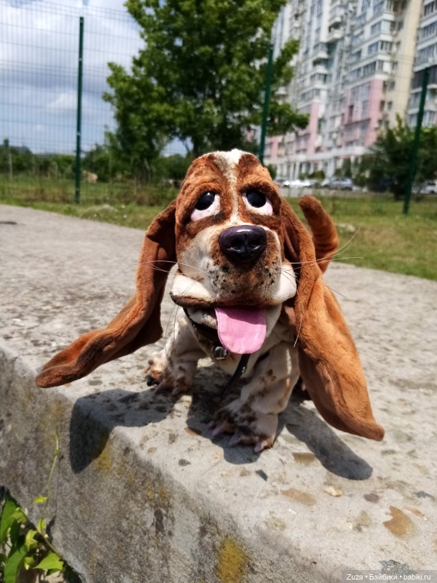 Хорошо, когда у тебя есть собака