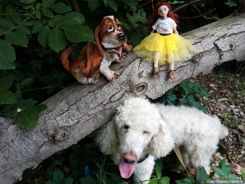 Хорошо, когда у тебя есть собака