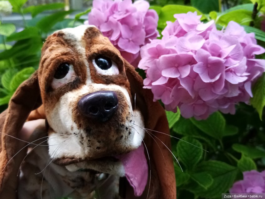 Хорошо, когда у тебя есть собака