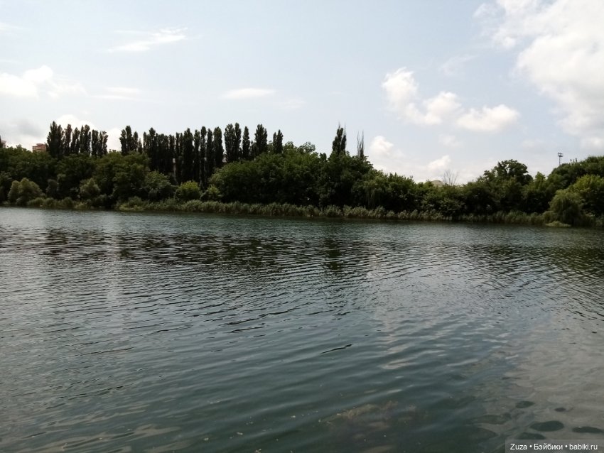 Хорошо, когда у тебя есть собака