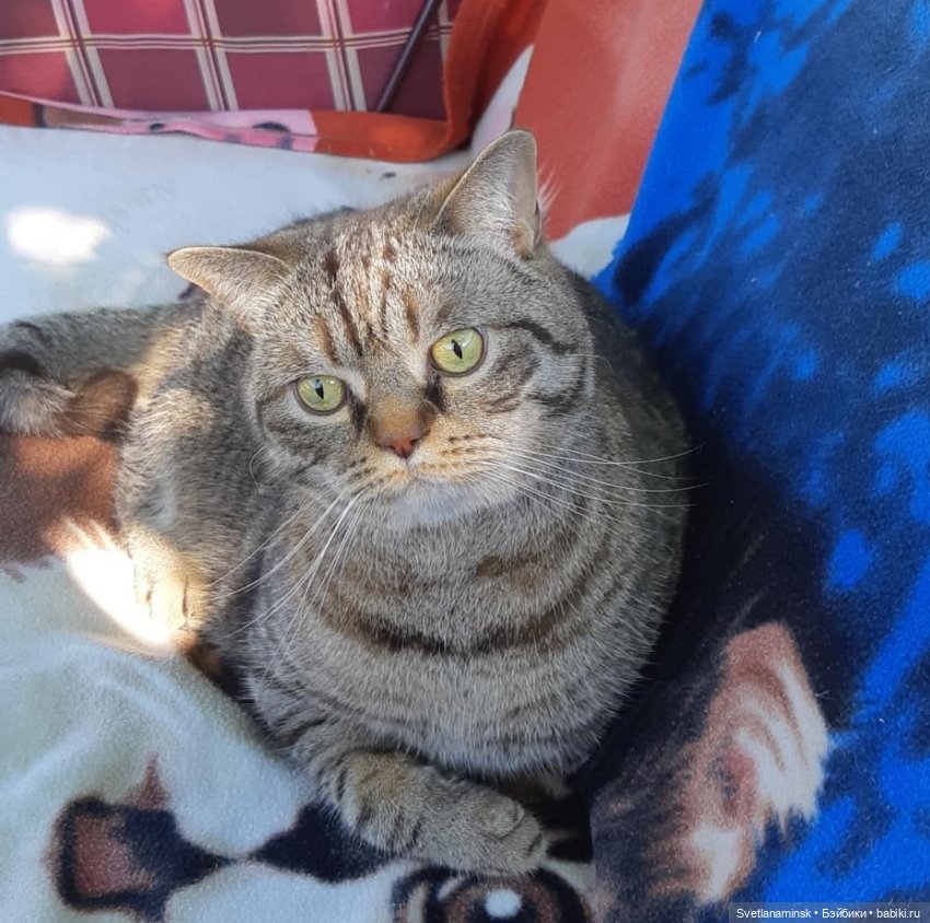 Лето, внуки, дача и рукоделие (фото 9)