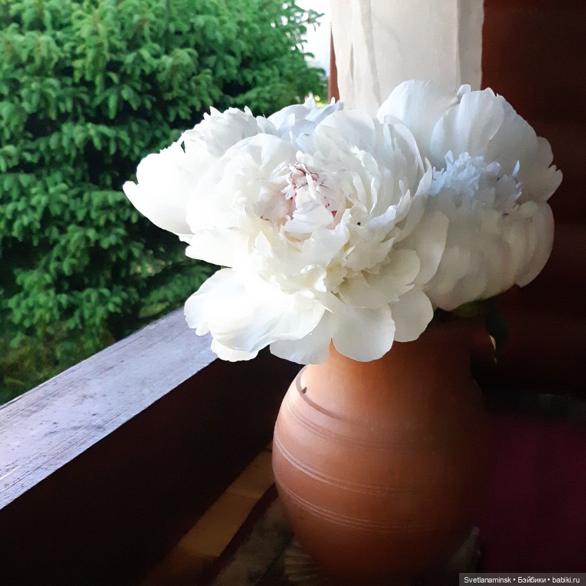 Лето, внуки, дача и рукоделие (фото 3)