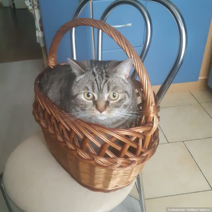 Лето, внуки, дача и рукоделие