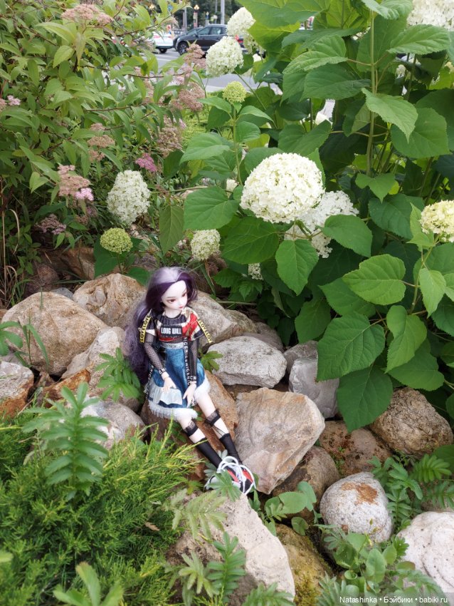 Fashion Dollls 234 — Куклы Звезды подиума (Angel Collection): шарнирные (фото 6)