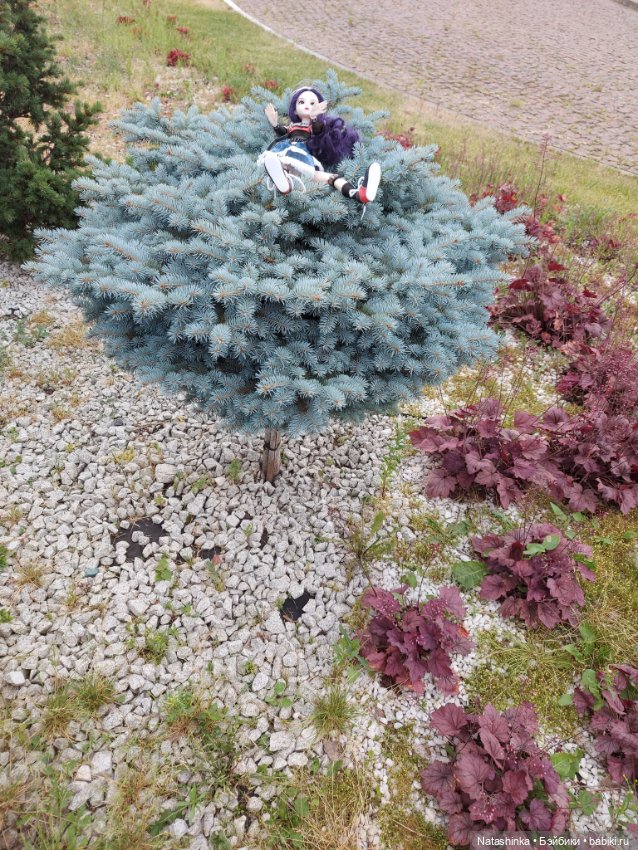 Fashion Dollls 234 — Куклы Звезды подиума (Angel Collection): шарнирные (фото 3)