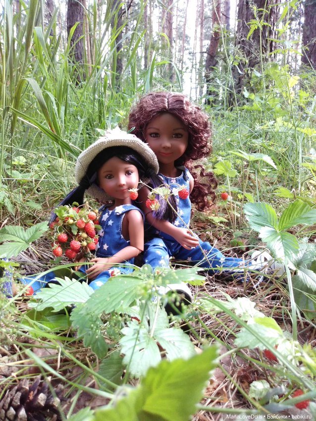 За земляникой — Куклы Ruby Red (Руби Ред) Fashion Friends: Siblies (фото 2)