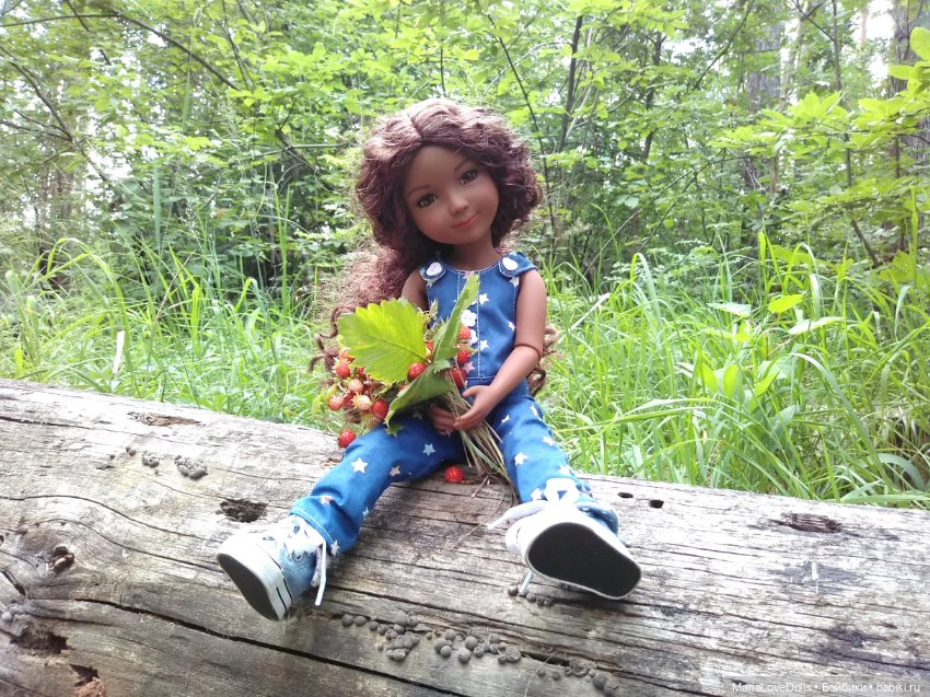 За земляникой — Куклы Ruby Red (Руби Ред) Fashion Friends: Siblies (фото 10)