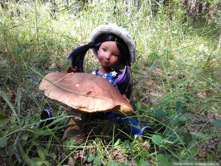 За земляникой — Куклы Ruby Red (Руби Ред) Fashion Friends: Siblies