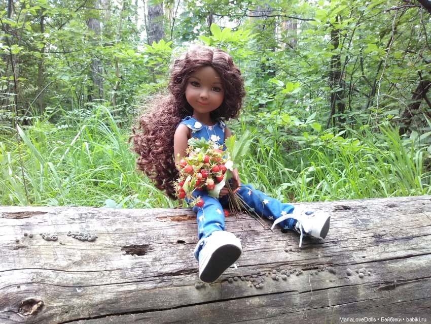 За земляникой — Куклы Ruby Red (Руби Ред) Fashion Friends: Siblies (фото 9)