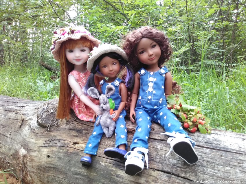За земляникой — Куклы Ruby Red (Руби Ред) Fashion Friends: Siblies (фото 3)