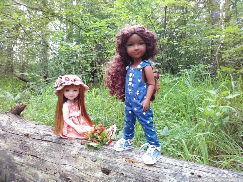 За земляникой — Куклы Ruby Red (Руби Ред) Fashion Friends: Siblies (фото 4)