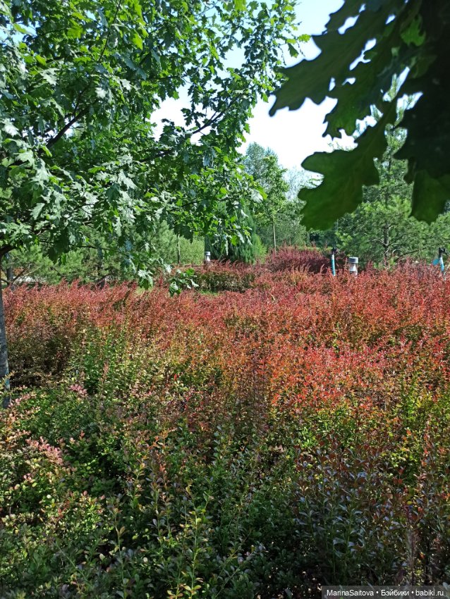 Как Алинка в Сколково ездила (фото 8)