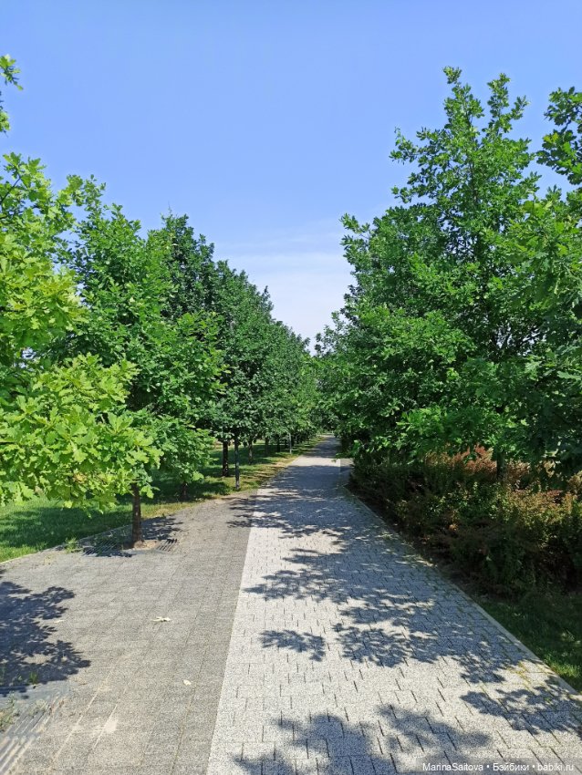 Как Алинка в Сколково ездила (фото 7)