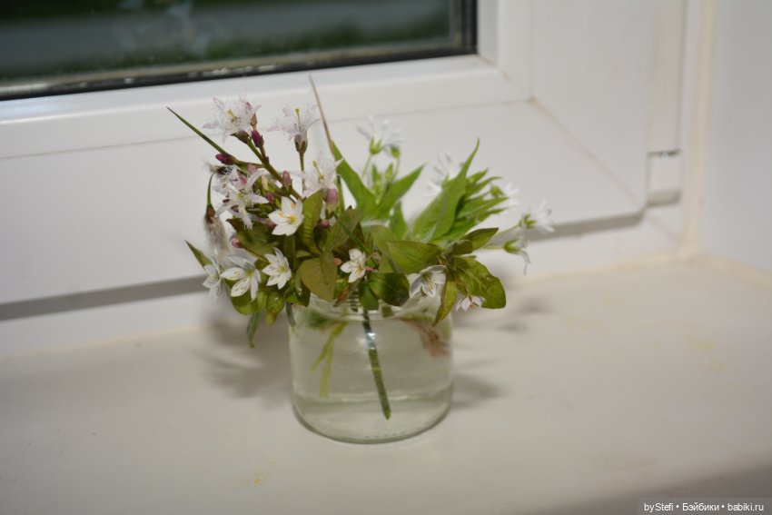 Покажу немного цветулек. Заполярье. Ну и контраст. Май и июнь