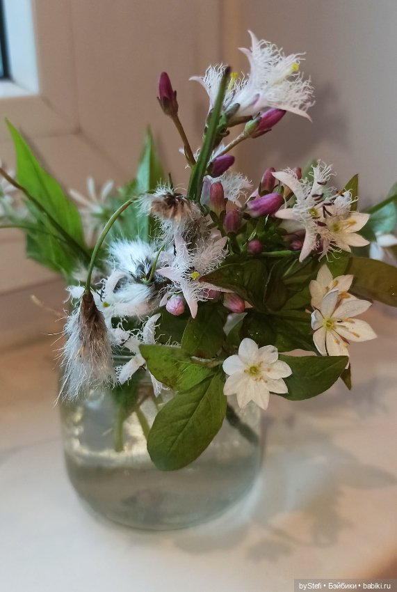 Покажу немного цветулек. Заполярье. Ну и контраст. Май и июнь (фото 5)