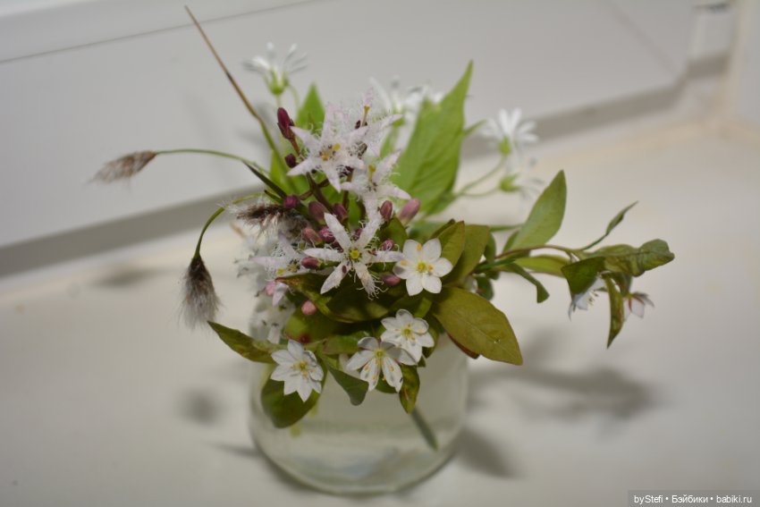 Покажу немного цветулек. Заполярье. Ну и контраст. Май и июнь