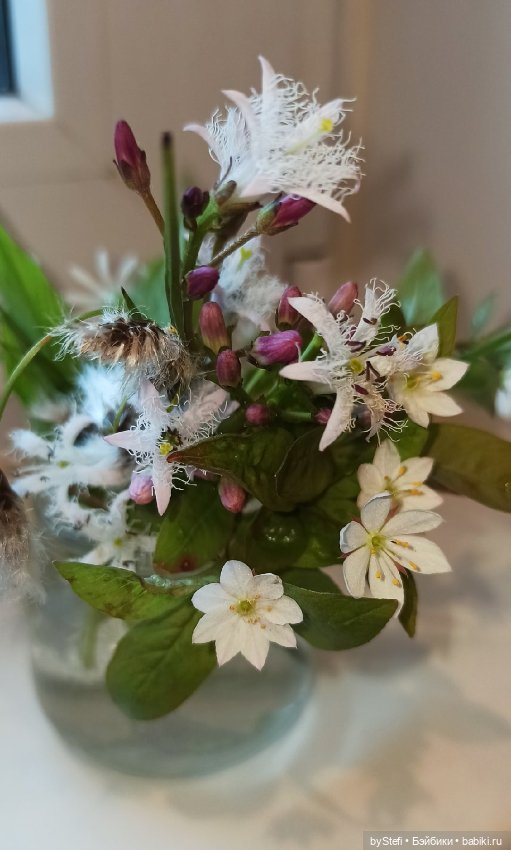 Покажу немного цветулек. Заполярье. Ну и контраст. Май и июнь