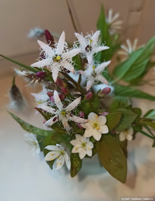 Покажу немного цветулек. Заполярье. Ну и контраст. Май и июнь