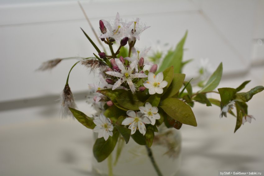 Покажу немного цветулек. Заполярье. Ну и контраст. Май и июнь