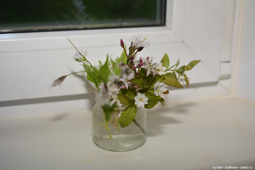 Покажу немного цветулек. Заполярье. Ну и контраст. Май и июнь