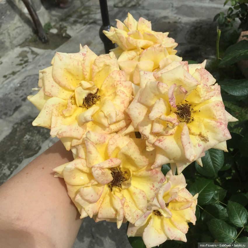 Любите жизнь! Вам с нею жить и жить (фото 3)