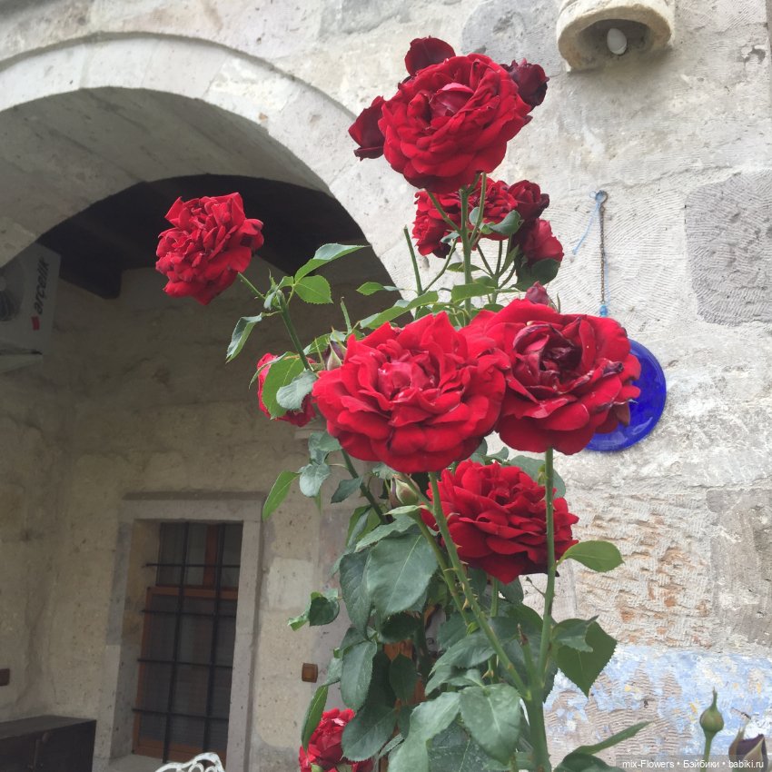 Любите жизнь! Вам с нею жить и жить (фото 9)